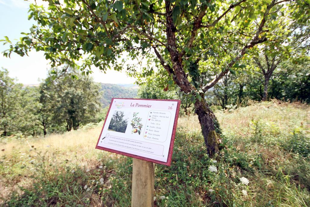 Camping Domaine Vallee Du Tarn Sn Saint-Cirgue Ngoại thất bức ảnh