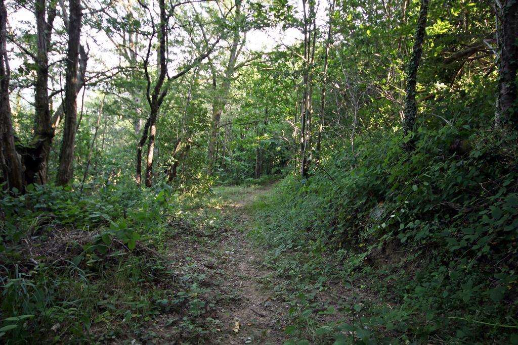 Camping Domaine Vallee Du Tarn Sn Saint-Cirgue Ngoại thất bức ảnh